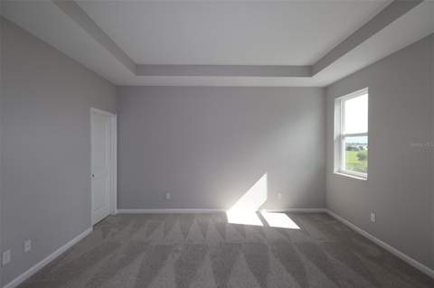 2685 Great Heron Avenue, St Cloud FL - photo 15 of 28