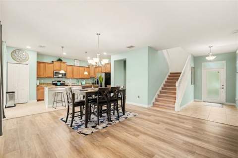 20443 Autumn Fern Avenue, Tampa FL - photo 9 of 30