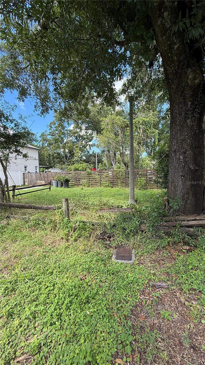 3 bedroom Single Family Residence at 8602 N Rome Avenue, Oakwood Manor, Tampa — photo 4