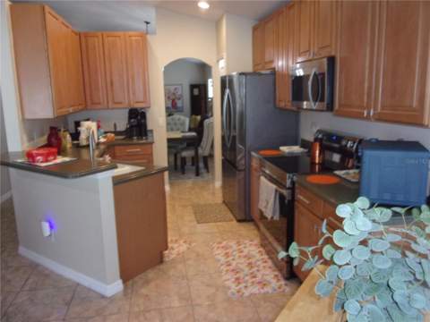 1519 Lalique Lane, Orlando FL - photo 14 of 27
