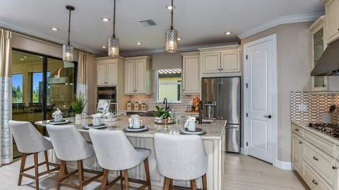 3912 Masaniello Way, Wesley Chapel FL - photo 6 of 35