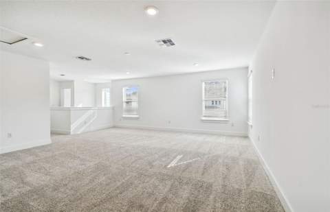 5241 Wolf Creek Drive, Apollo Beach FL - photo 18 of 33