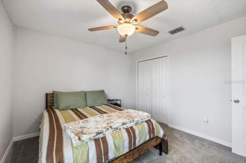 3703 Globe Thistle Drive, Tampa FL - photo 22 of 37