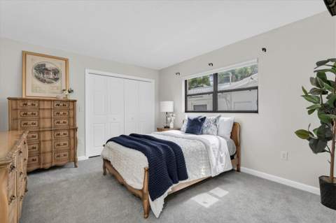 212 Westwinds Drive, Palm Harbor FL - photo 24 of 41
