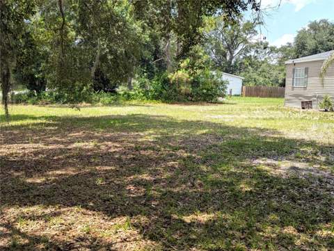 30517 Clearview Drive, Wesley Chapel FL - photo 12 of 40