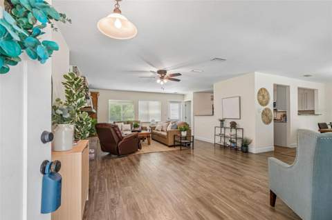 909 Tomlinson Drive, Lutz FL - photo 6 of 6