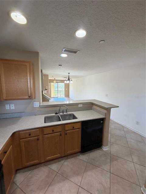 4817 Tuscan Loon Drive, Tampa FL - photo 6 of 23