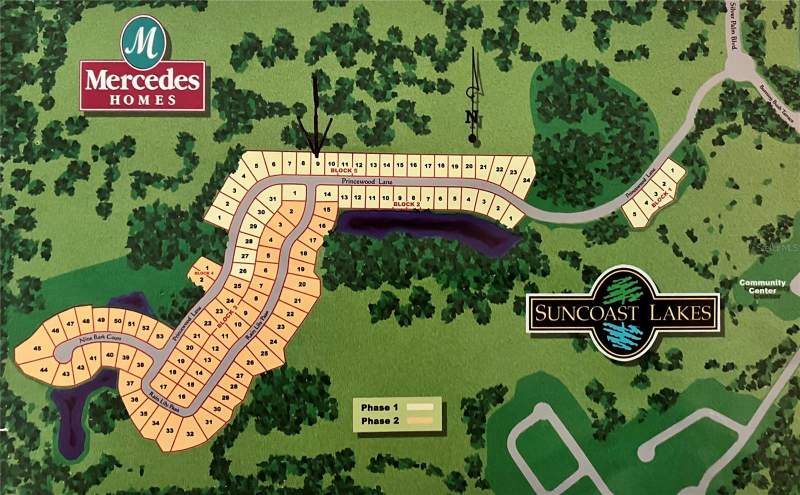 6 bedroom Single Family Residence at 15041 Princewood Lane, Suncoast Lakes Ph 01, Land O Lakes — photo 4