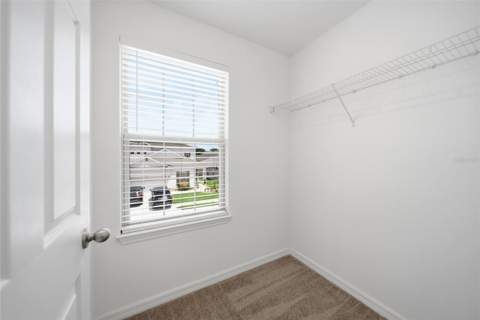 30643 Walker Cup Place, Wesley Chapel FL - photo 22 of 47