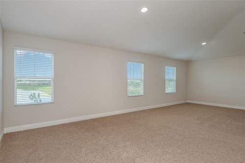 31717 Bienville Lane, Wesley Chapel FL - photo 21 of 31