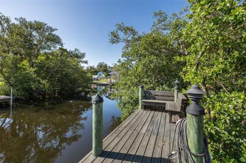 3318 Pineview Drive, Holiday FL - photo 10 of 56