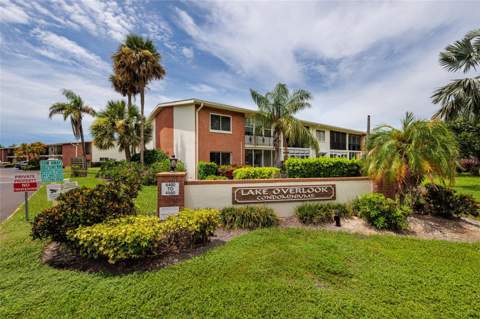 4550 Overlook Drive #154, St Petersburg FL - photo 9 of 48