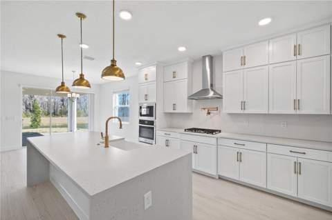 16788 Muskgrass Drive, Winter Garden FL - photo 19 of 77