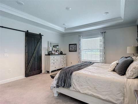 30980 Jazz Leaf Place, San Antonio FL - photo 21 of 50