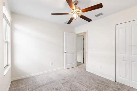 7310 Pearly Everlasting Avenue, Tampa FL - photo 17 of 63