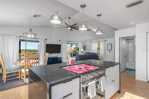 4035 Eagle Nest Drive, Hernando Beach FL - photo 18 of 53