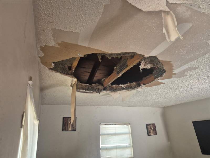 2 bedroom Single Family Residence at 1909 W Palmetto Street, El Cerro, Tampa — photo 5