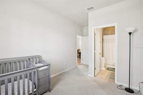 12326 Blue Pacific Drive, Riverview FL - photo 17 of 35