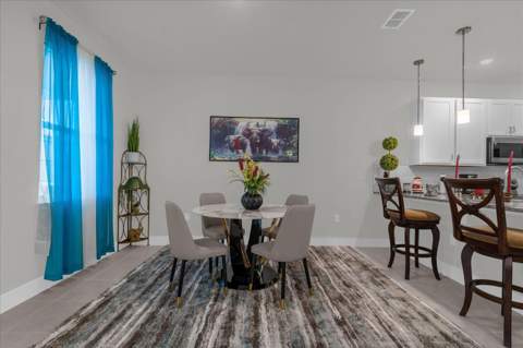 3309 Grande Heron Drive, St Cloud FL - photo 9 of 37