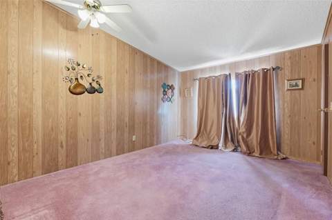 410 Dolphin Drive, Oldsmar FL - photo 12 of 29