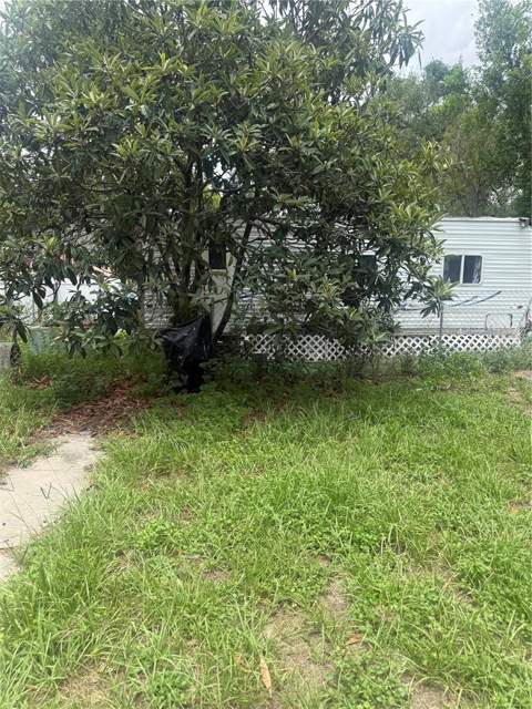 3012 N Albany Avenue, Tampa FL - photo 12 of 13