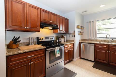 1005 Tranquiview Lane, Valrico FL - photo 10 of 48