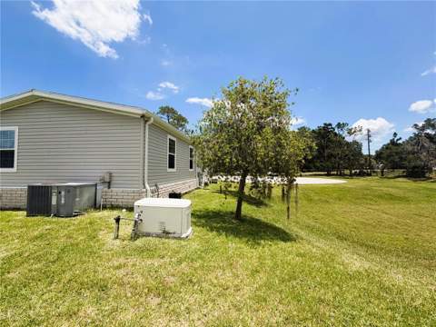 165 Sago Palm Drive, Leesburg FL - photo 11 of 58