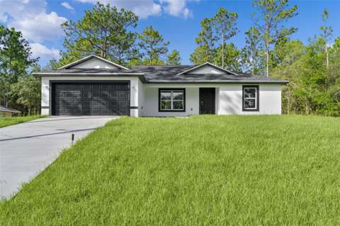 3228 W Camilo Drive, home for sale in Citrus Springs 34433