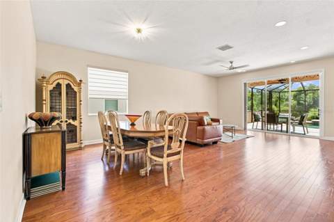 20233 Merry Oak Avenue, Tampa FL - photo 6 of 6