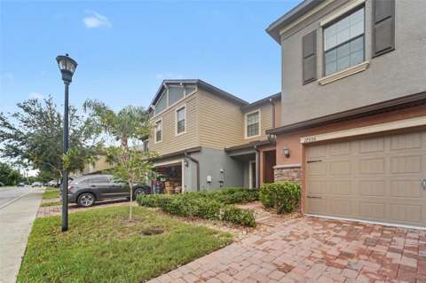 17335 Old Tobacco Road, home for sale in Lutz 33558