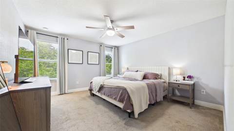 14140 Damselfly Drive, Tampa FL - photo 23 of 61