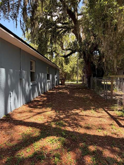 6436 Fig Leaf Street, St Cloud FL - photo 22 of 26