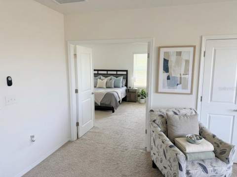 16910 Oval Rum Drive, Wimauma FL - photo 20 of 37
