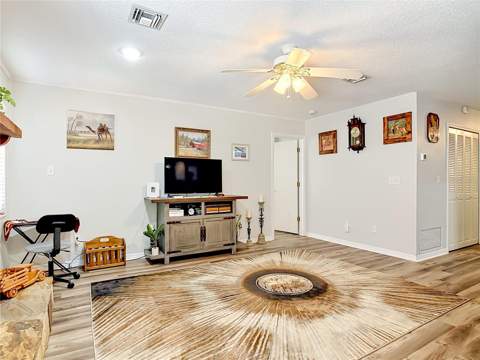 17819 Palm Street, Umatilla FL - photo 14 of 46