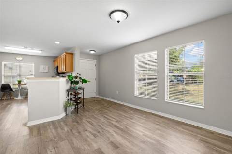 10924 Johanna Avenue, Riverview FL - photo 20 of 51