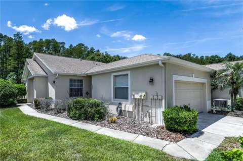 7235 Cleopatra Drive, waterfront for sale in Land O' Lakes