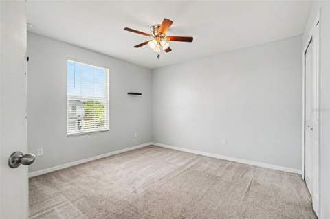 7421 French Marigold Avenue, Tampa FL - photo 14 of 26