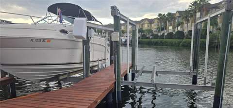 4209 Fogcutter Court #4209, Tampa FL - photo 24 of 24