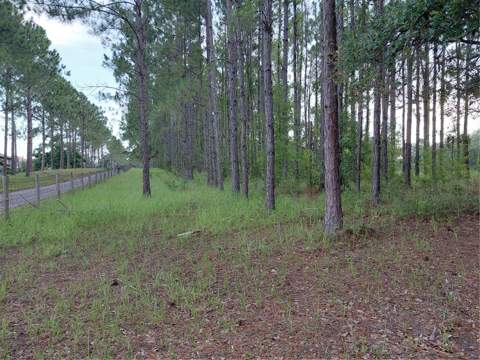 14240 Lost Lake Road, Clermont FL - photo 7 of 47