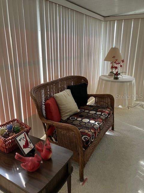 3405 Lanark Drive, Holiday FL - photo 21 of 33