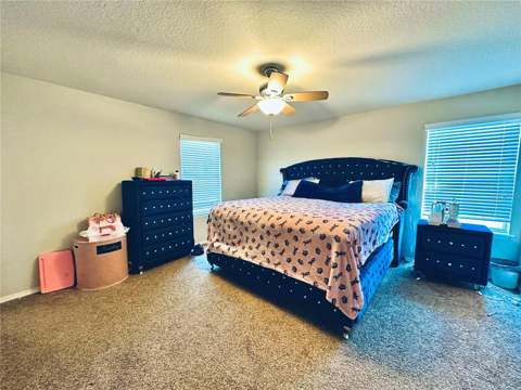 4411 Banyan Tree Place, Riverview FL - photo 13 of 27