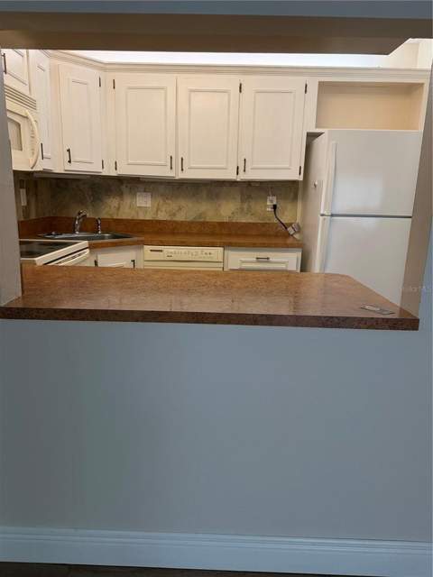 2687 Pine Ridge Way #H1, Palm Harbor FL - photo 9 of 28