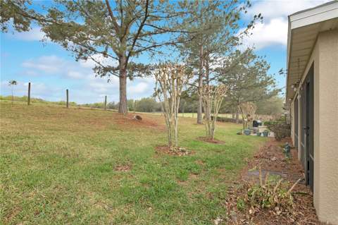 21714 Belgian Court, Mount Dora FL - photo 22 of 34