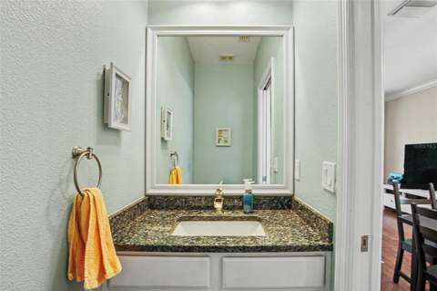 441 Harbor Ridge Drive, Palm Harbor FL - photo 20 of 51
