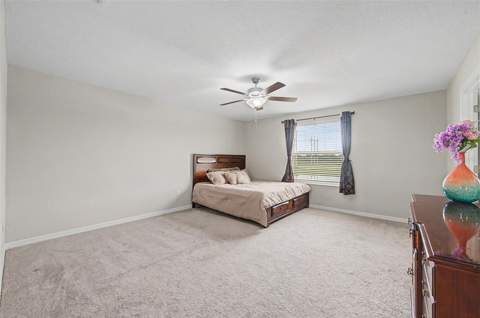 4710 Wild Senna Boulevard, Tampa FL - photo 24 of 49