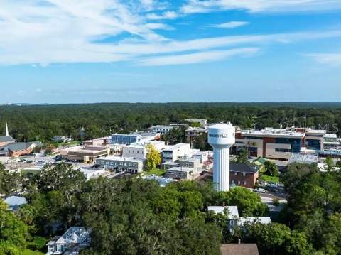 31530 Wild Grape Lane, Brooksville FL - photo 16 of 19