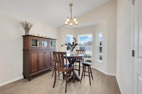 3050 Sunscape Terrace, Groveland FL - photo 21 of 45