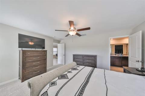 9316 Channing Hill Drive, Ruskin FL - photo 21 of 43