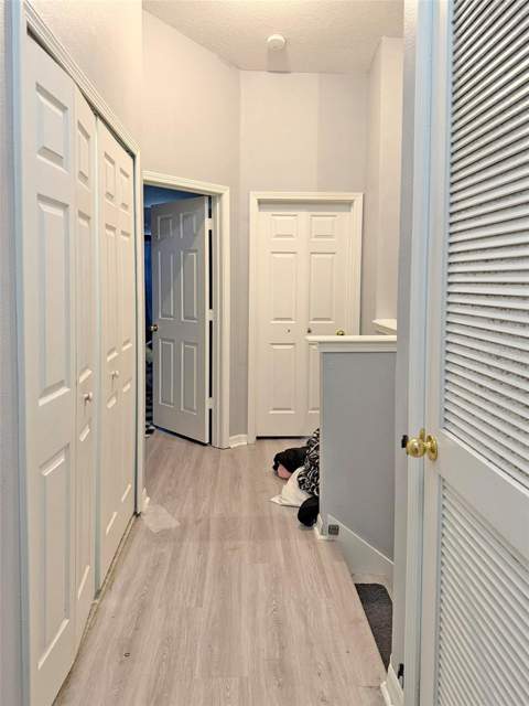 6225 Olivedale Drive, Riverview FL - photo 6 of 6