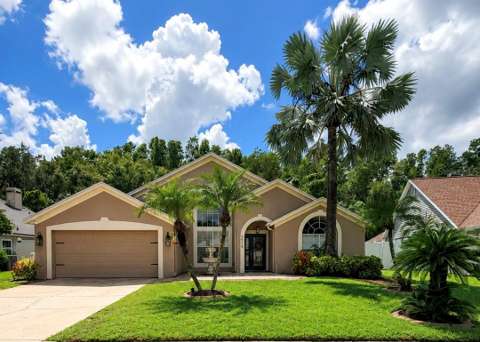 6518 Appaloosa Drive, home for sale in Tampa 33625